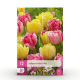 Tulipe double Foxtrot en mélange - calibre 11/12