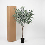 Eucalyptus plante artificielle