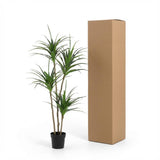 Dracaena Plante plante artificielle