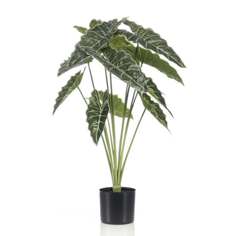 Alocasia plante artificielle
