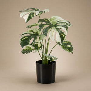 Monstera Variegata plante artificielle