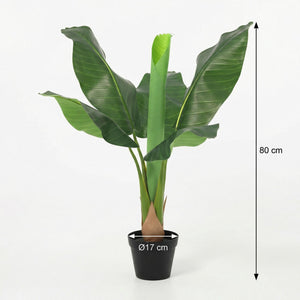 Bananier Musa plante artificielle