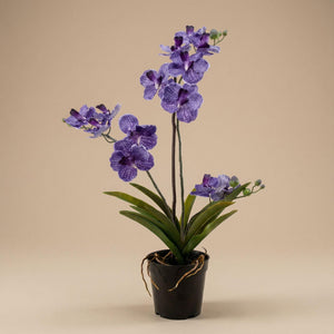 Orchidee Vanda Violet plante artificielle