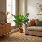 Philodendron Jungle King plante artificielle