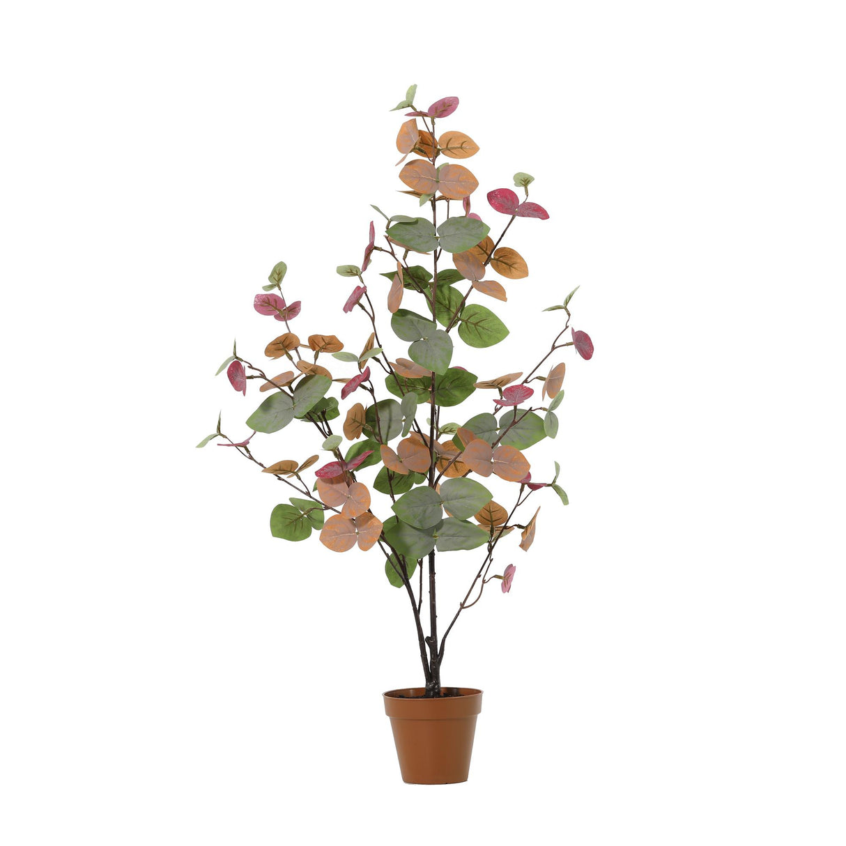 Eucalyptus coloré plante artificielle