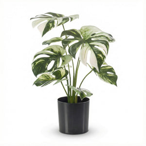 Monstera Variegata plante artificielle