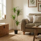 Dracaena Plante plante artificielle