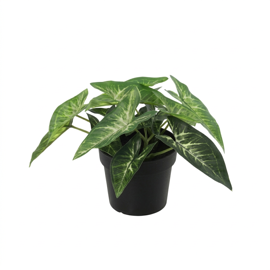 Syngonium plante artificielle