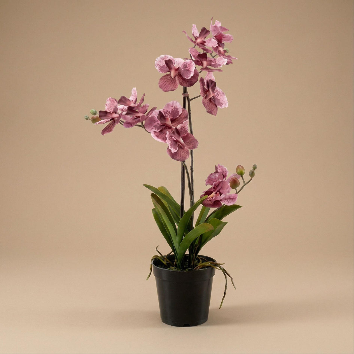 Orchidee Vanda plante artificielle