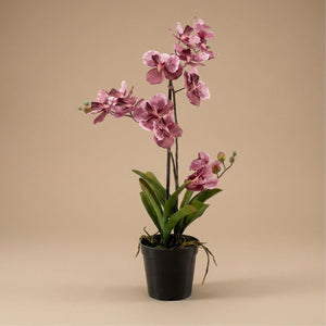 Orchidee Vanda plante artificielle