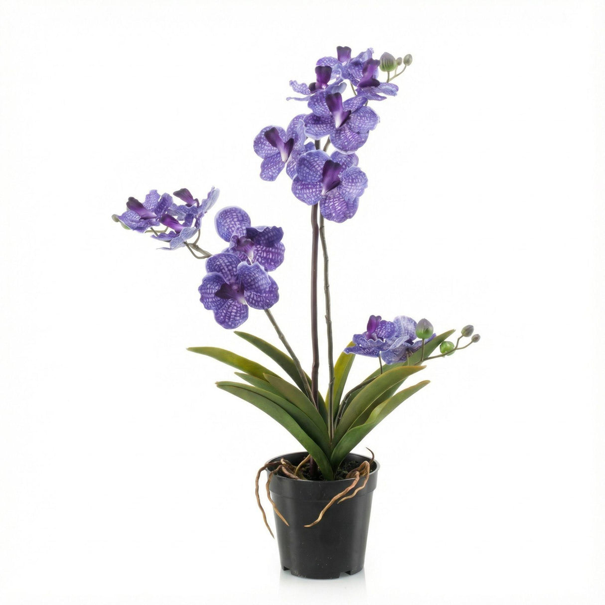 Orchidee Vanda Violet plante artificielle