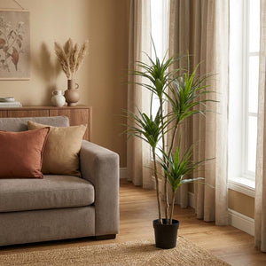 Dracaena Plante plante artificielle