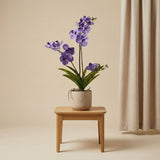 Orchidee Vanda Violet plante artificielle