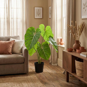 Philodendron plante artificielle