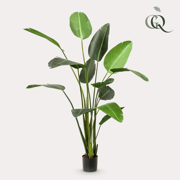 Strelitzia Nicolai plante artificielle