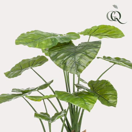 Alocasia plante artificielle h110cm