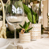 Set Le Chic – Orchidée Phalaenopsis Amabilis blanche & Succulent | Plateau organique crème