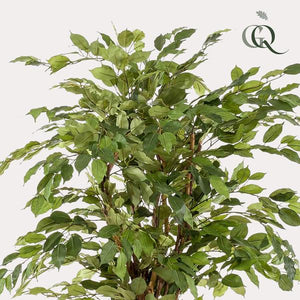 Ficus Liana plante artificielle