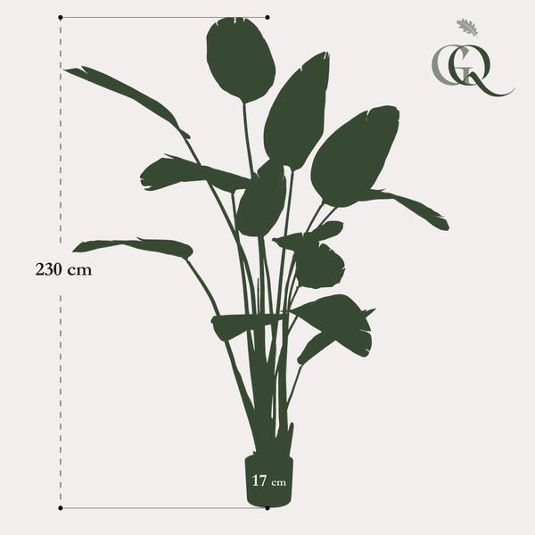 Strelitzia Nicolai plante artificielle