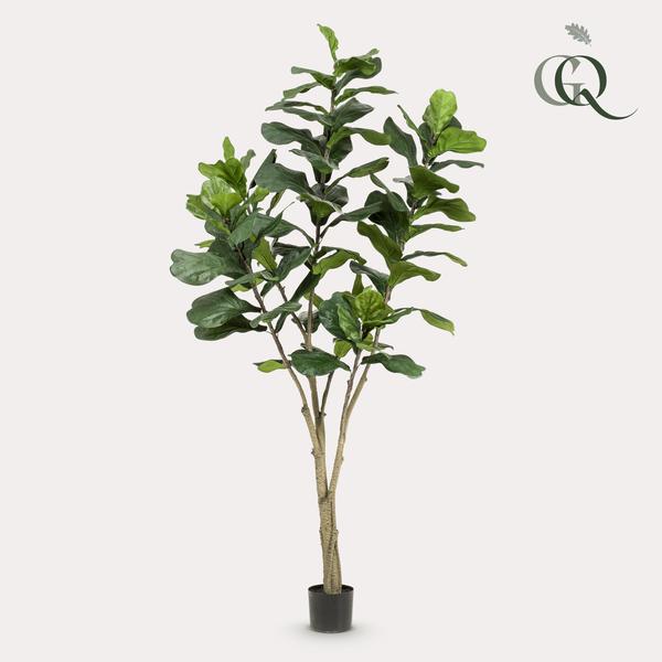 Ficus Lyrata plante artificielle