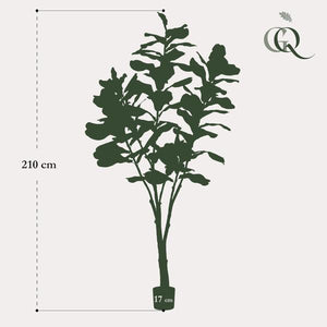 Ficus Lyrata plante artificielle