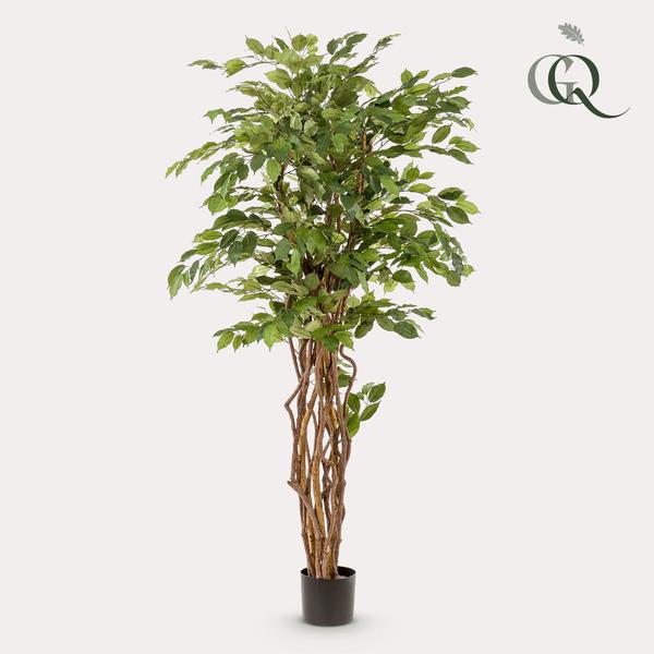 Ficus Liana plante artificielle