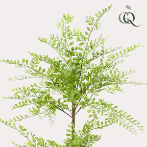 Sophora Arbuste plante artificielle