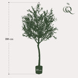Olivier dinterieur plante artificielle