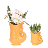 Set Orchidée Nazaré blanche & Succulent | Pots Fish orange – Ø 9 cm & Ø 6 cm