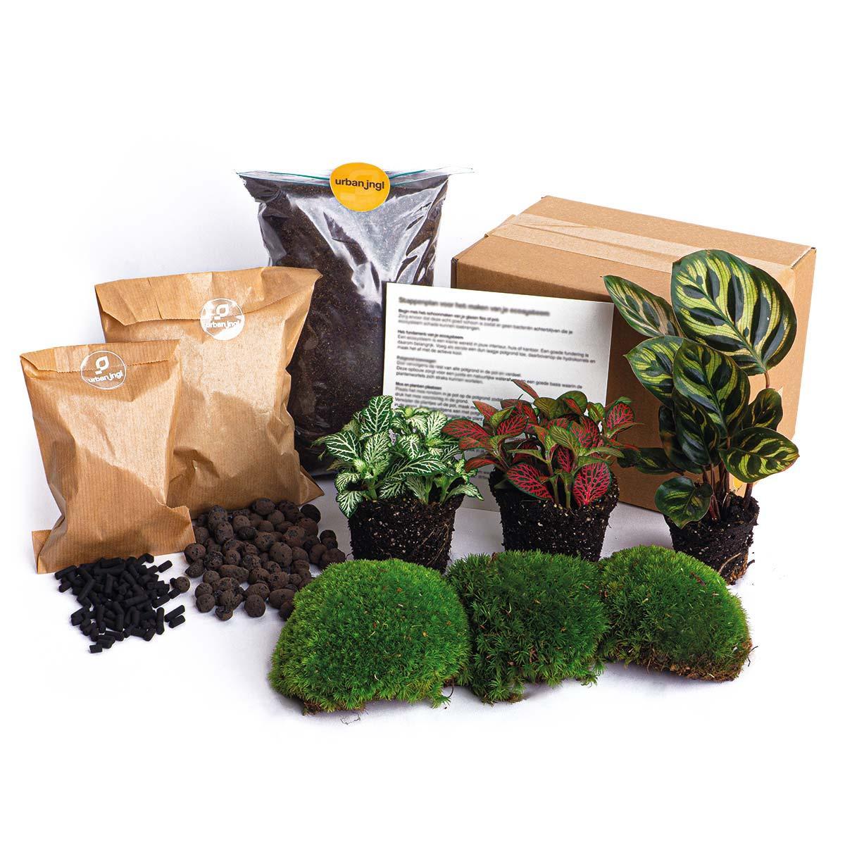 Kit per rinvaso piante da terrario