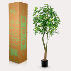 Pachira Aquatica plante artificielle