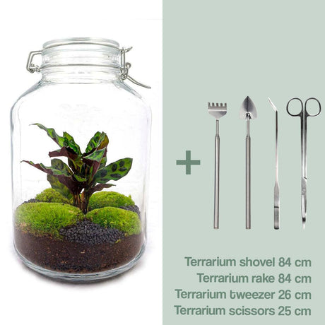 DIY terrarium kit - OSLO