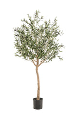 Olivier dinterieur plante artificielle