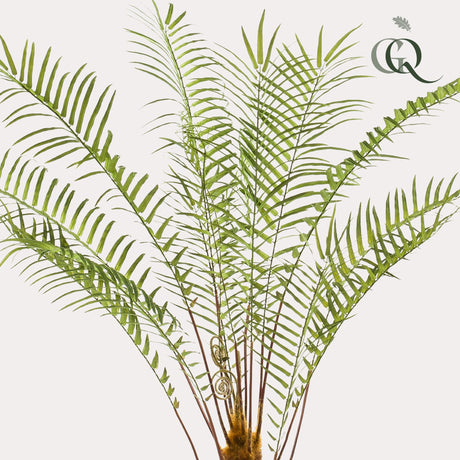 Palmier plante artificielle