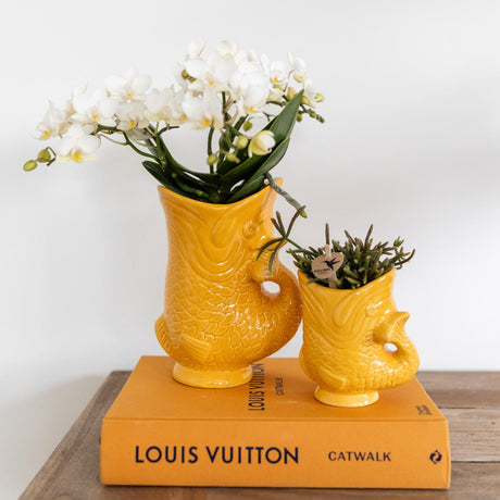 Set Orchidée Nazaré blanche & Succulent | Pots Fish orange – Ø 9 cm & Ø 6 cm