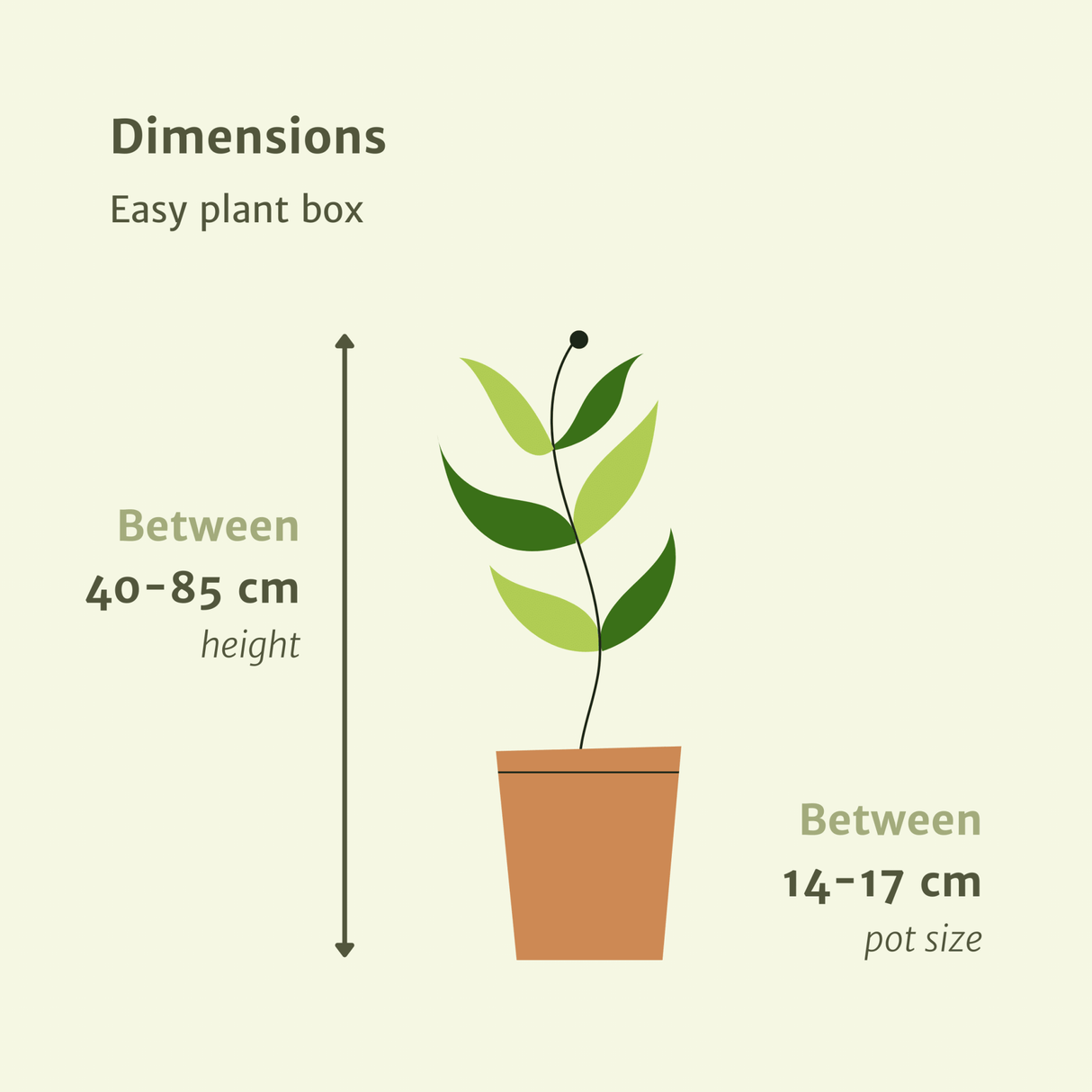 Livraison plante - Box facile d'entretien x4 - plantes d'intérieur facile d'entretien