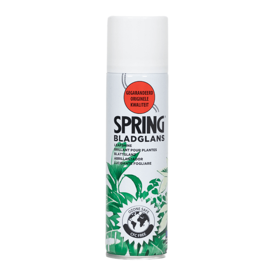 Spray Brillant 750ml - Fait Briller Vos Plantes Uniques – La Green Touch
