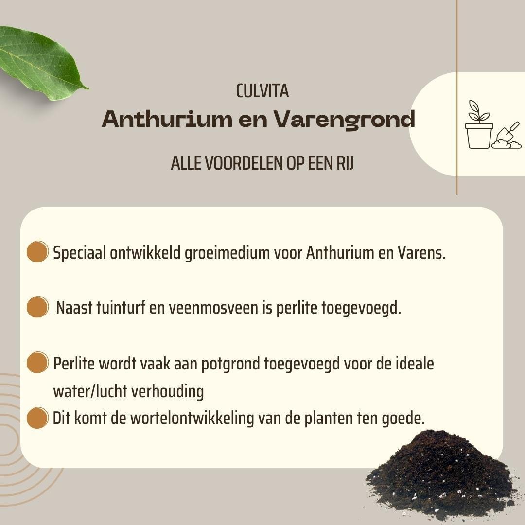 Livraison plante - Terreau pour Anthuriums et fougères - 5L