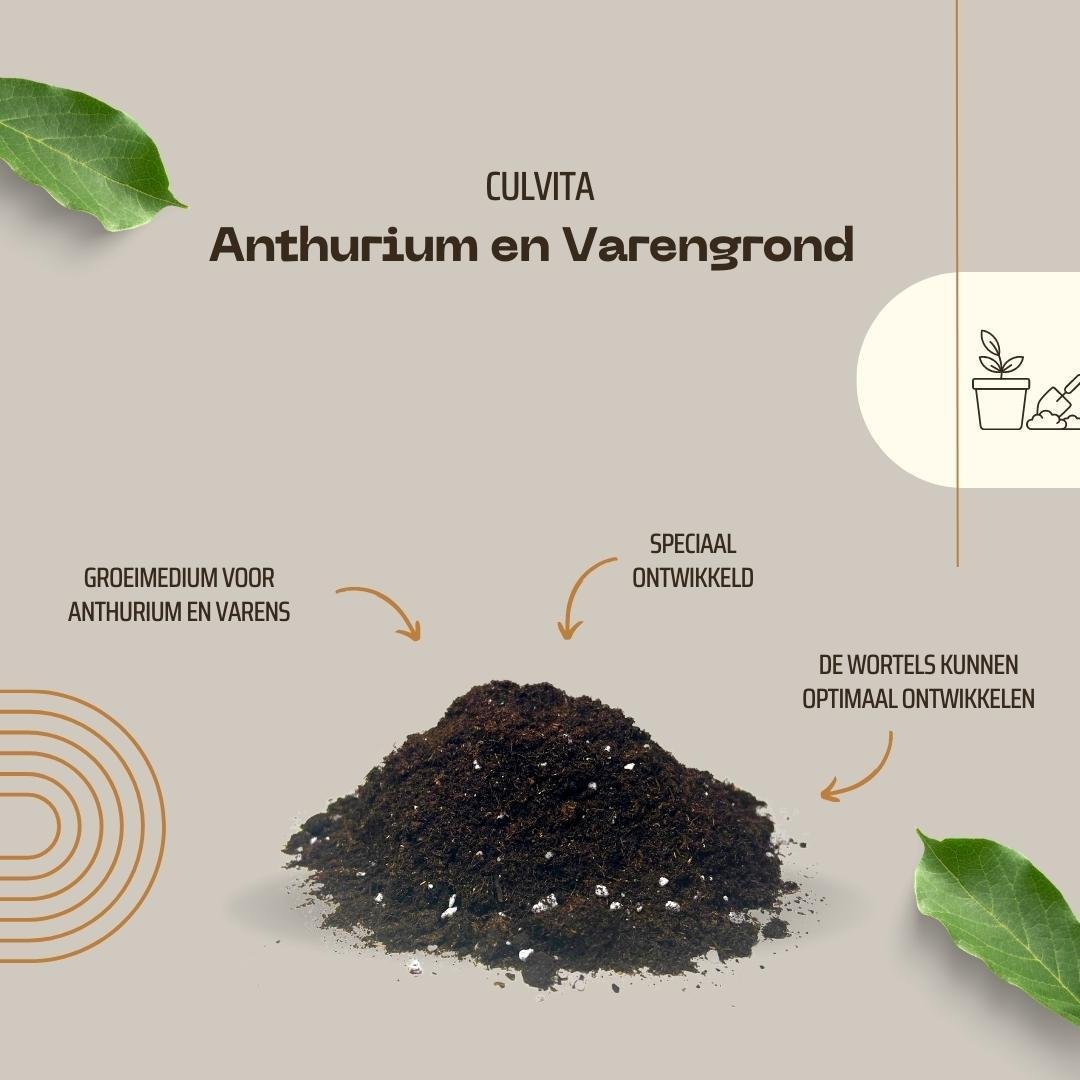 Livraison plante - Terreau pour Anthuriums et fougères - 5L