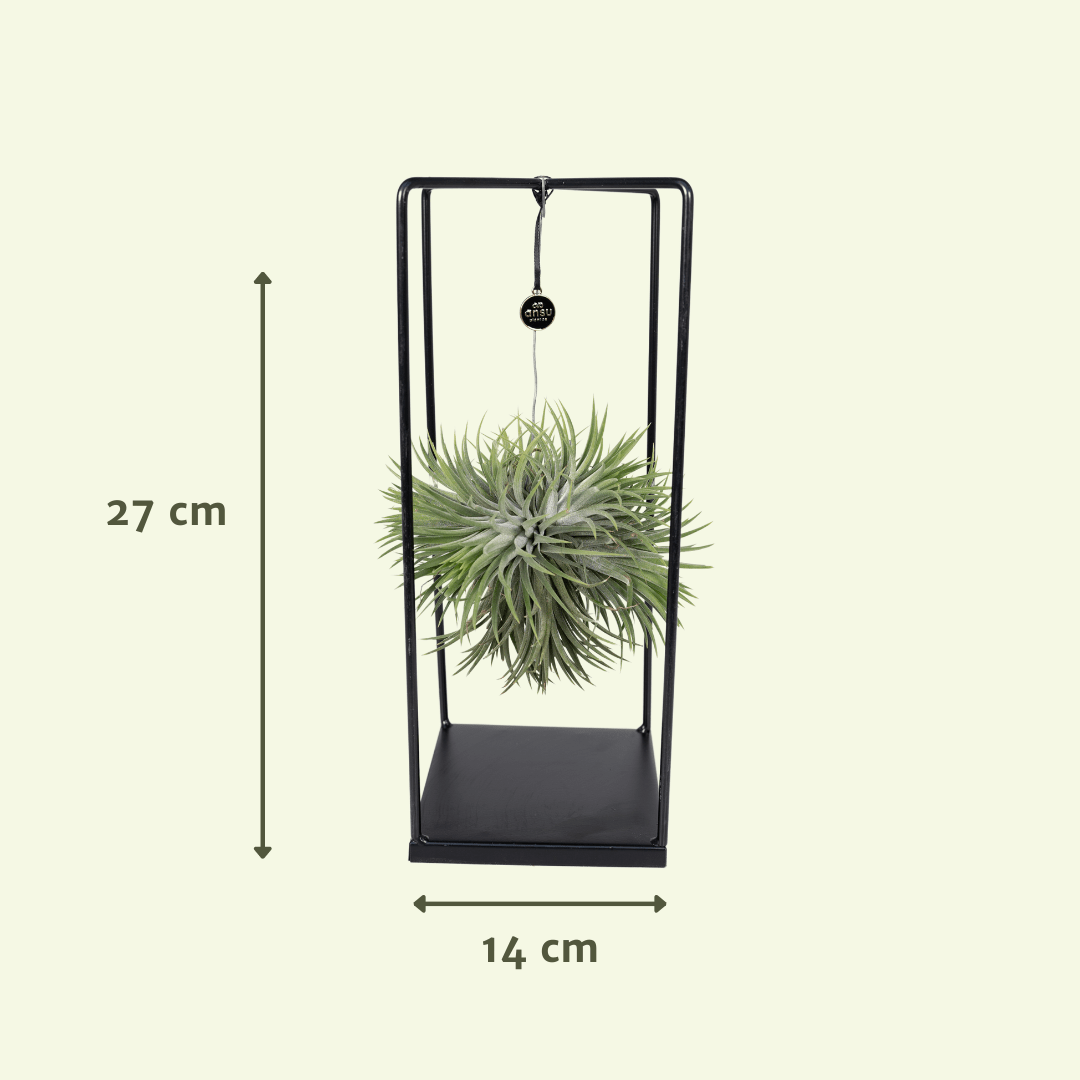 Tillandsia artificiel vert 80 cm - plantes pendantes et rampantes