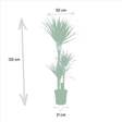 Livraison plante - Yucca, Dracaena, duo de plantes - grandes plantes d'intérieur