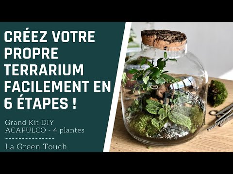 créer terrarium plante
