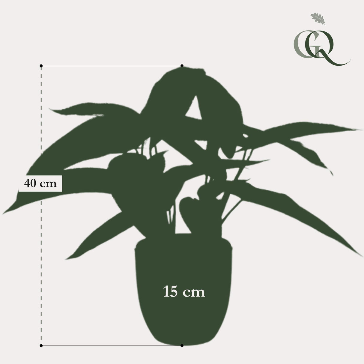 Calathea Dots plante artificielle - h38cm, Ø15cm