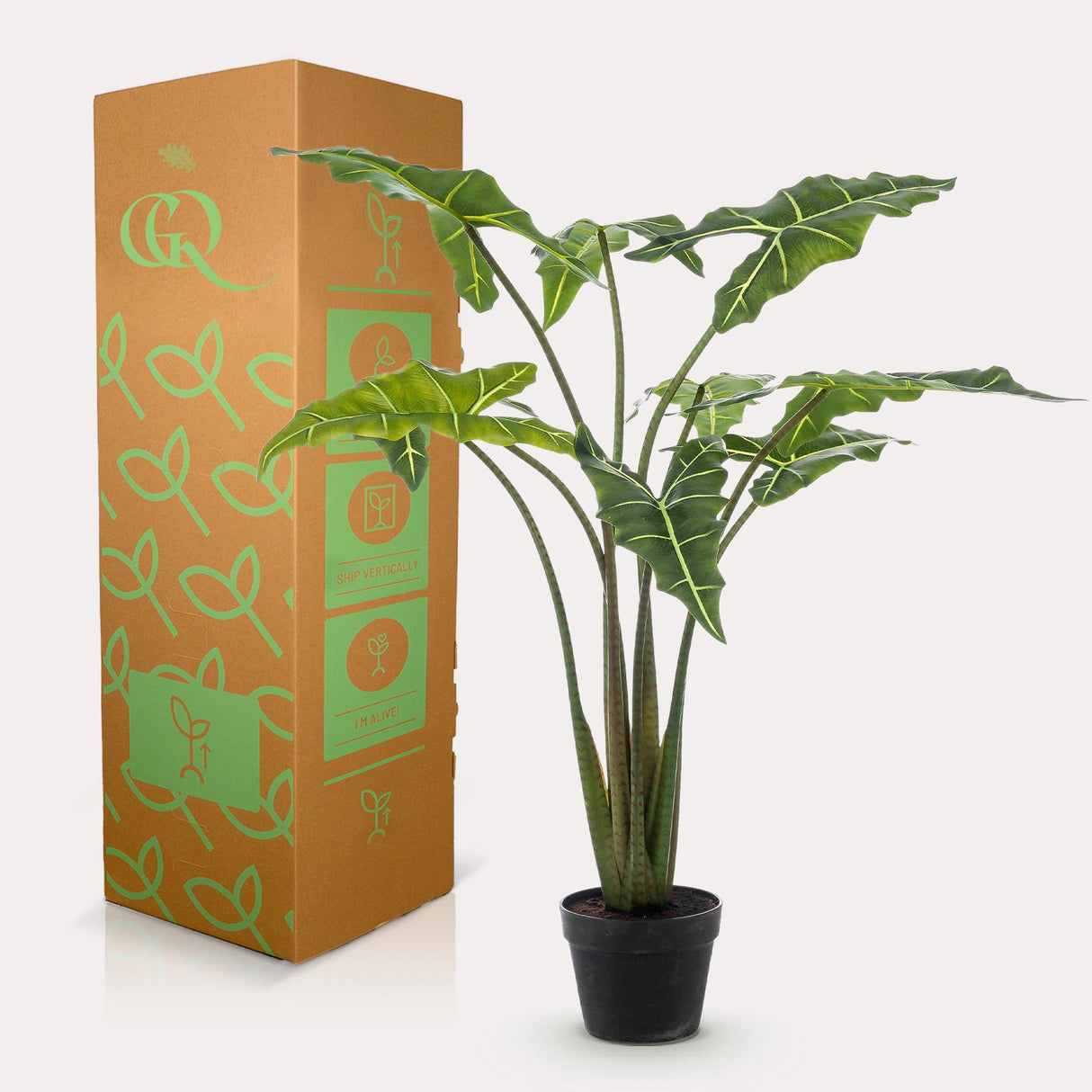 Alocasia plante artificielle - h100cm, Ø12cm