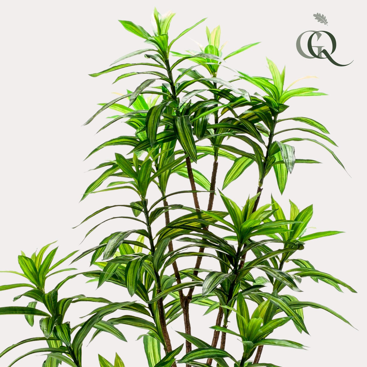 Dracaena plante artificielle - h130cm, Ø14cm