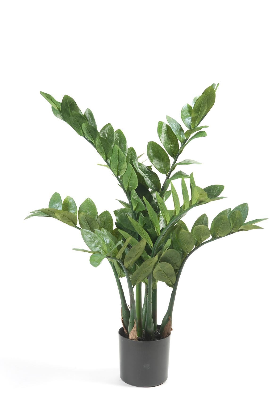Zamioculcas plante artificielle - h70cm, Ø12cm