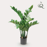 Zamioculcas plante artificielle - h70cm, Ø12cm