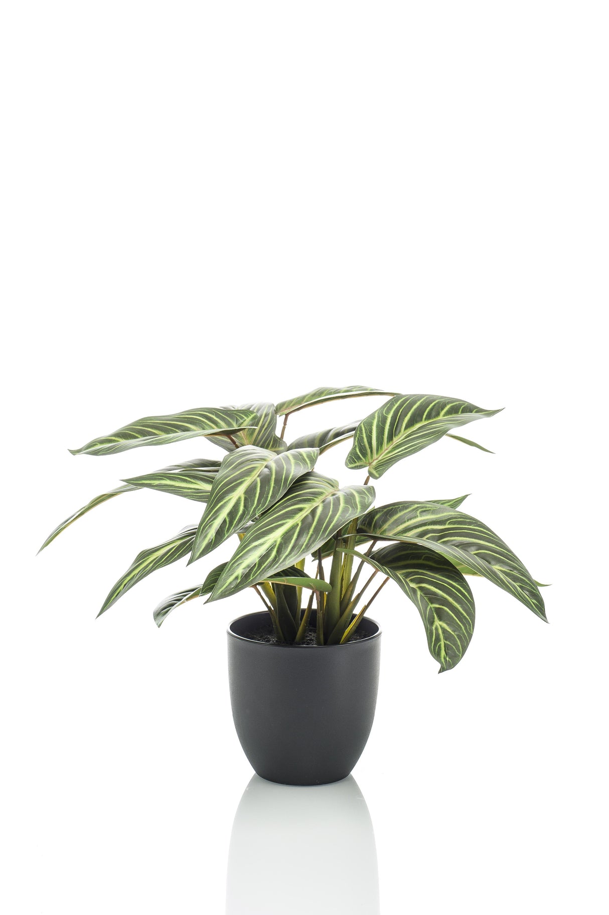 Calathea Zebrina plante artificielle - h38cm, Ø15cm