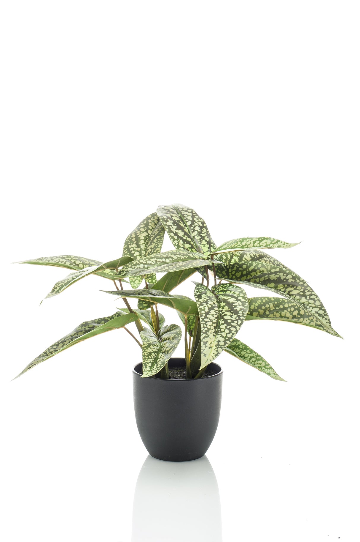 Calathea Dots plante artificielle - h38cm, Ø15cm