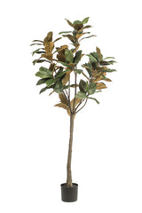 Magnolia Grandiflora plante artificielle - h150cm, Ø15cm